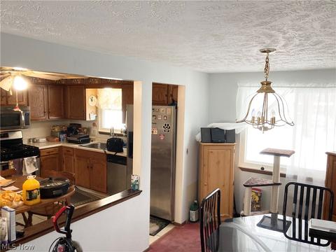 6447 Carter Blvd, Mentor, OH 44060 photo 14