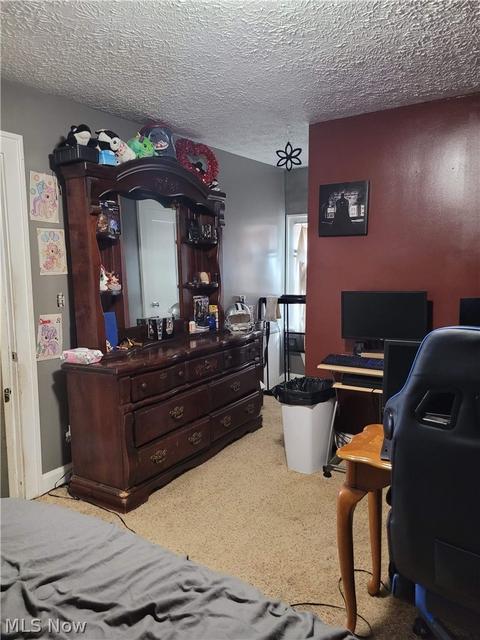 118 Blake St, Elyria, OH 44035 photo 19