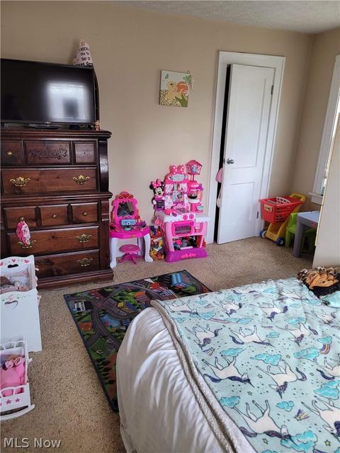 118 Blake St, Elyria, OH 44035 photo 10