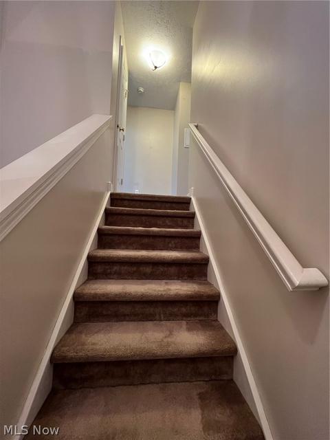 3793 Freedom Pl, Lorain, OH 44053 photo 4