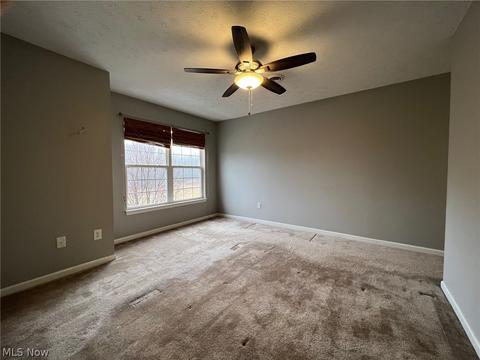 3793 Freedom Pl, Lorain, OH 44053 photo 22