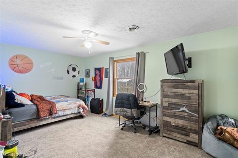 10350 Dewhurst Rd, Elyria, OH 44035 photo 20