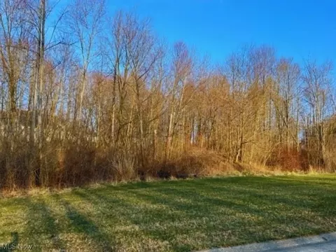 Birchmont Avenue Sw, Canton, OH 44706