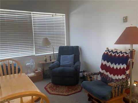 180 S Eagle St, Geneva, OH 44041 photo 12