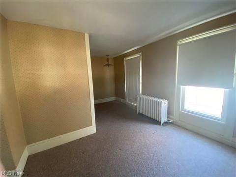 180 S Eagle St, Geneva, OH 44041 photo 19