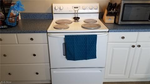 117 Bethesda Cir, Elyria, OH 44035 photo 9