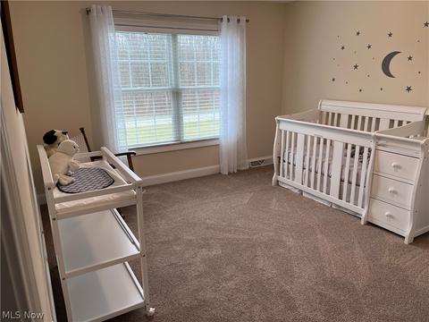 11390 Sutton Pl, Chardon, OH 44024 photo 24