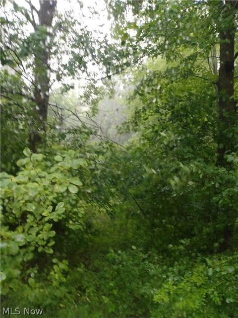 5615 Gerald Rd, Ashtabula, OH 44004 photo 9