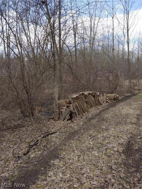 5615 Gerald Rd, Ashtabula, OH 44004 photo 3