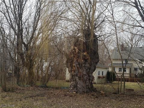507 Myrtle Ave, Ashtabula, OH 44004 photo 21
