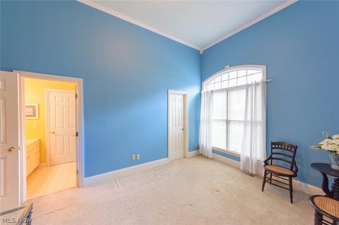 4094 Stonebridge Blvd, Copley, OH 44321 photo 21