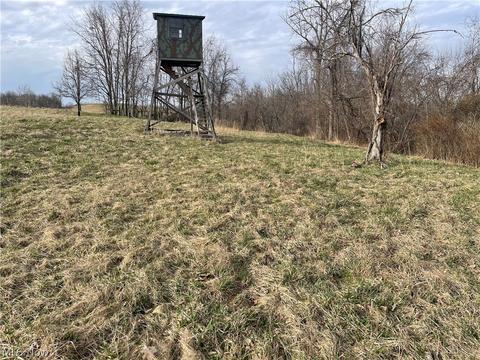 37101 Johnson Ridge Rd, Barnesville, OH 43713 photo 7