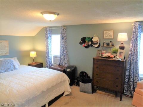 707 Ohio Ave, Ashtabula, OH 44004 photo 29