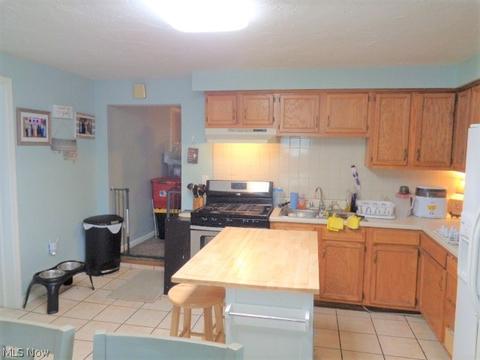 707 Ohio Ave, Ashtabula, OH 44004 photo 21