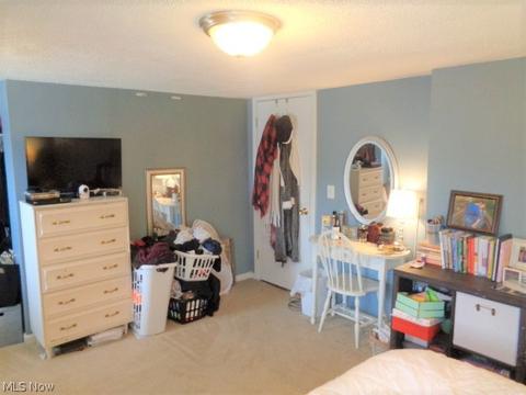 707 Ohio Ave, Ashtabula, OH 44004 photo 32