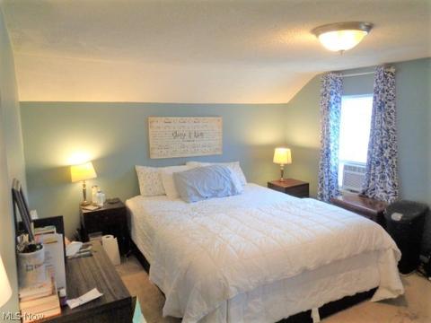 707 Ohio Ave, Ashtabula, OH 44004 photo 28