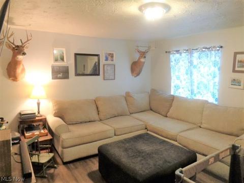 707 Ohio Ave, Ashtabula, OH 44004 photo 10