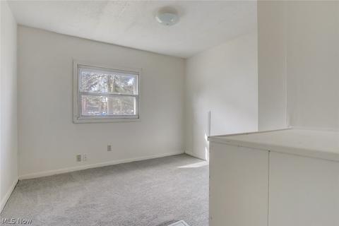 426 Morgan Ct, Lagrange, OH 44050 photo 17