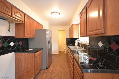 42833 Albrecht, Elyria, OH 44035 photo 8