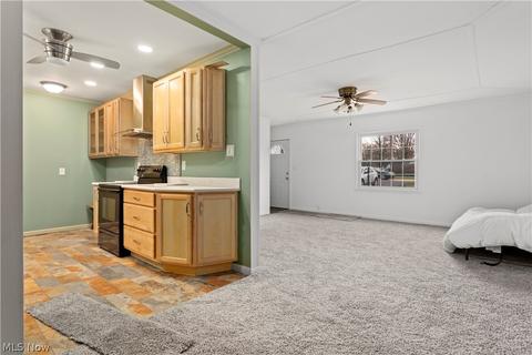 9666 E River Rd, Elyria, OH 44035 photo 11