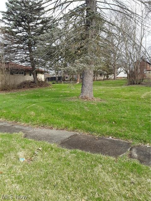 332 Devitt, Campbell, OH 44405 photo 2