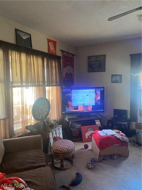 1403 Thayer Ave, Ashtabula, OH 44004 photo 9