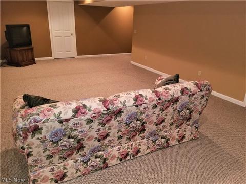 39900 Hope Ct, Elyria, OH 44035 photo 23