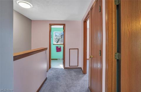 825 Wilder Ave, Elyria, OH 44035 photo 13