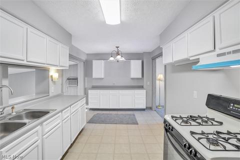 825 Wilder Ave, Elyria, OH 44035 photo 7