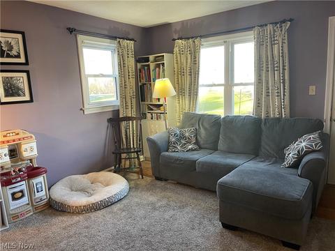 913 Columbus Ave, Ashtabula, OH 44004 photo 4