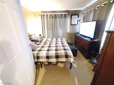 5611 Jefferson Ave, Ashtabula, OH 44004 photo 12