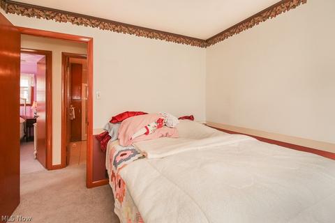359 Bond St, Elyria, OH 44035 photo 19
