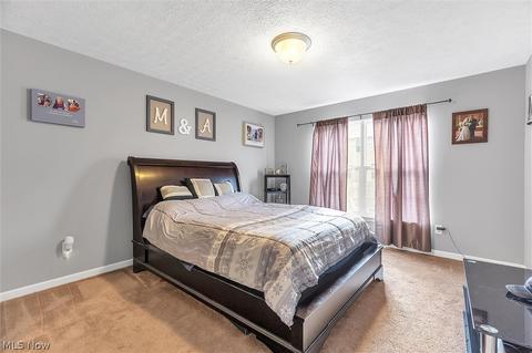 3814 E Parkside Cir, Lorain, OH 44053 photo 19