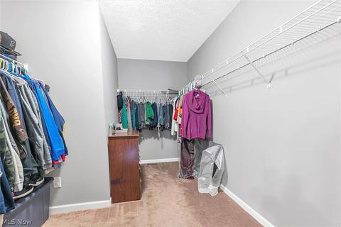 3814 E Parkside Cir, Lorain, OH 44053 photo 22