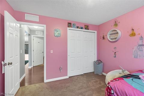3814 E Parkside Cir, Lorain, OH 44053 photo 27