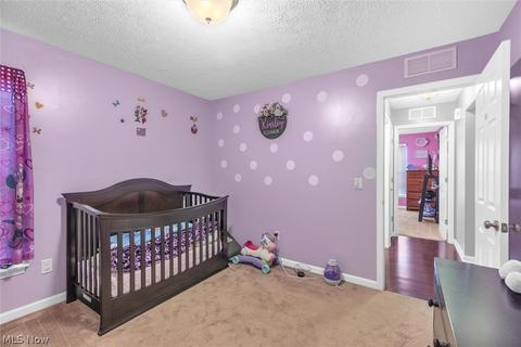 3814 E Parkside Cir, Lorain, OH 44053 photo 24