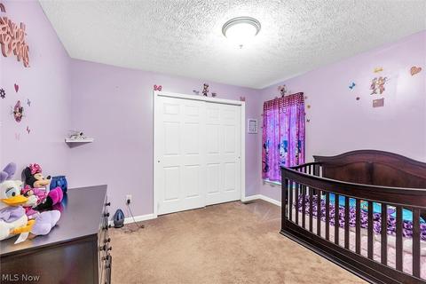 3814 E Parkside Cir, Lorain, OH 44053 photo 23