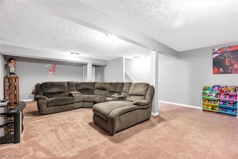 3814 E Parkside Cir, Lorain, OH 44053 photo 29