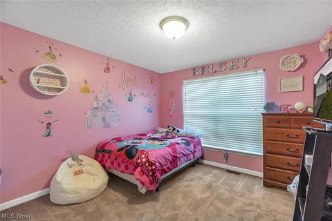 3814 E Parkside Cir, Lorain, OH 44053 photo 26