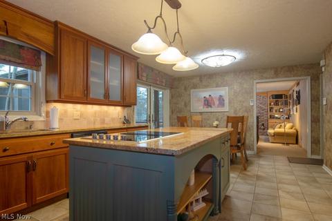 554 Haskell Dr, Akron, OH 44333 photo 6