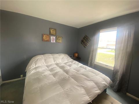 922 Myrtle Ave, Ashtabula, OH 44004 photo 20