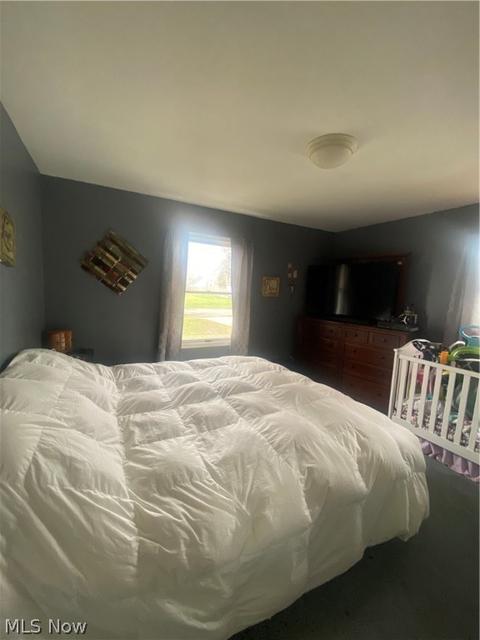 922 Myrtle Ave, Ashtabula, OH 44004 photo 22