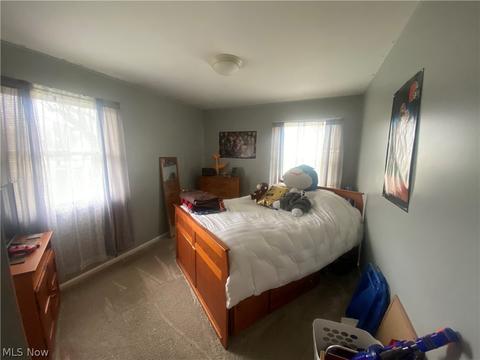 922 Myrtle Ave, Ashtabula, OH 44004 photo 19