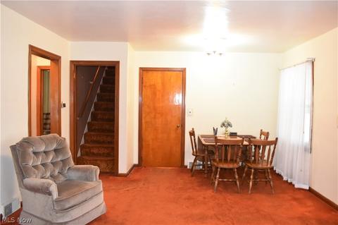 3113 Blair Ave, Ashtabula, OH 44004 photo 10