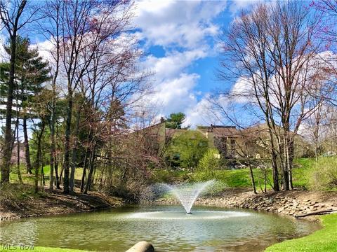 970 Hampton Ridge Dr, Akron, OH 44313 photo 5