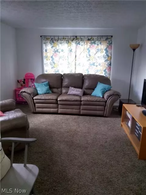 3641 Call Rd, Perry, OH 44081 photo 2
