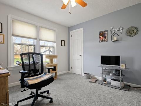 454 Ewing Rd, Boardman, OH 44512 photo 9