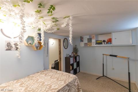 245 Ohio St, Elyria, OH 44035 photo 28