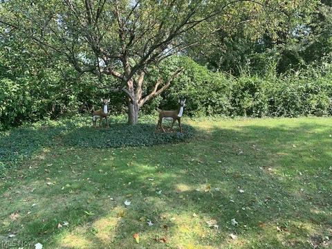 1485 Wade Park Ave, Akron, OH 44310 photo 21