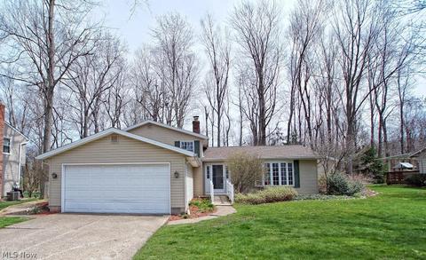 8379 Paddock Ct, Mentor, OH 44060 photo 2